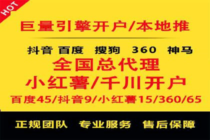 搜索引擎营销（SEM）公司某某的客户成功故事
